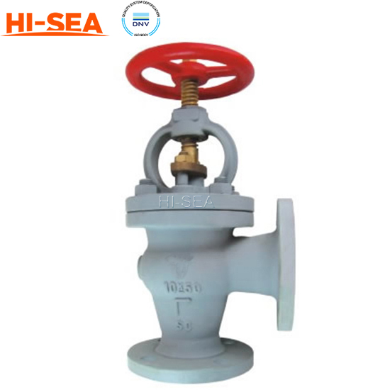 Screw Down Non-Return Globe Valve